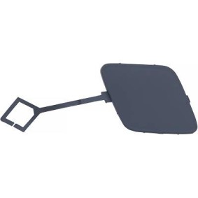 Klappe, Abschlepphaken 4298064 von DIEDERICHS günstig für 25,17 € online kaufen