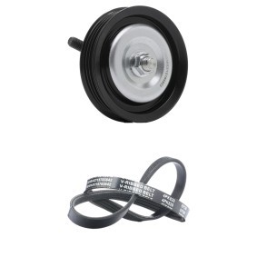 Achetez des Kit de courroie d'accessoire de chez RIDEX en ligne pour NP300 Navara Camion à Plateau / Châssis (D40) à prix modérés