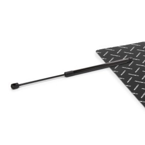 Achetez des Vérin de coffre RIDEX 219G1318 à prix pour 12,03 €