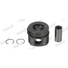 Compre Êmbolo da NÜRAL 87-439107-10 a um preço baixo por 100,17 €