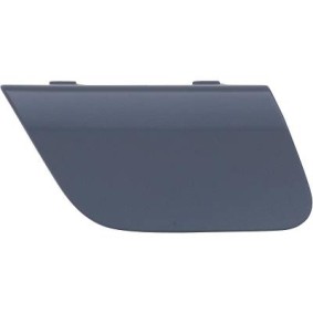Klappe, Abschlepphaken 1618269 von DIEDERICHS günstig für 20,83 € online kaufen