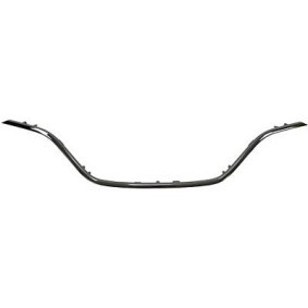 Blende, Kühlergitter 4467141 von DIEDERICHS günstig für 55,23 € online kaufen