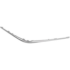 Zier- / Schutzleiste, Kühlergitter 6607043 von DIEDERICHS günstig für 69,52 € online kaufen
