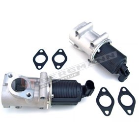 Comprar Válvula EGR de GT-BERGMANN GT55-022 a bajo precio de 62,17 €
