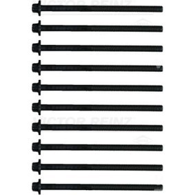 Osta Syl.kannen pulttisarja REINZ:llä 14-21984-01 edullisesti hintaan 102,47 €