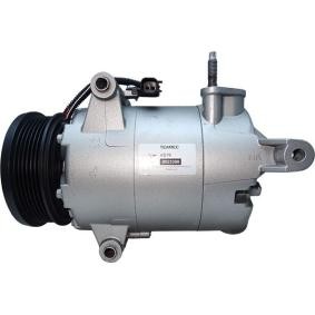 Klimakompressor von ROTOVIS Automotive Electrics
