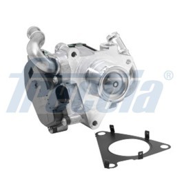 AGR-Ventil EGR12-219 von FRECCIA günstig für 206,52 € online kaufen