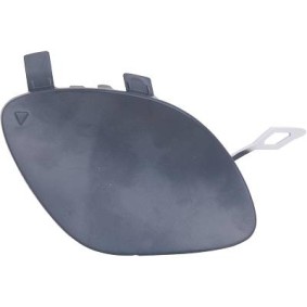 Klappe, Abschlepphaken 1618354 von DIEDERICHS günstig für 18,67 € online kaufen