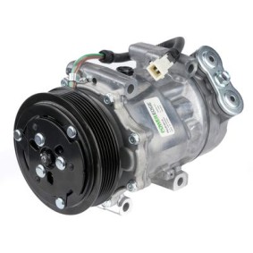 Acquista Compressore aria condizionata da PowerEdge PECP0013 a buon mercato per soli 255,26 €