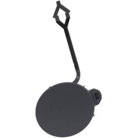 Klappe, Abschlepphaken 1816154 von DIEDERICHS günstig für 16,55 € online kaufen
