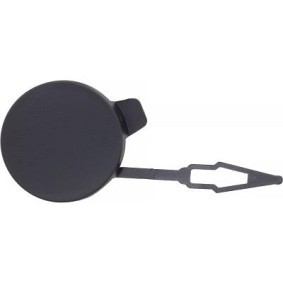Klappe, Abschlepphaken 1816159 von DIEDERICHS günstig für 22,86 € online kaufen