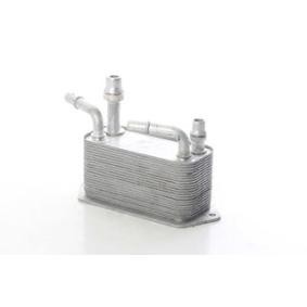 Osta Öljynjäähdytin, autom. vaihteisto BSG:llä BSG 15-506-039 edullisesti hintaan 94,78 €