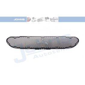 Lüftungsgitter, Stoßfänger 32 10 27-1 von JOHNS günstig für 12,05 € online kaufen