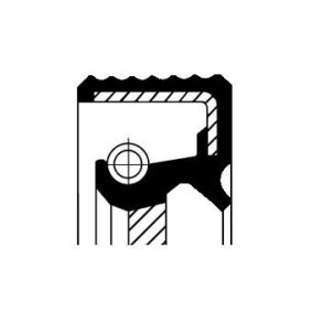 Acquista Paraolio, Cambio manuale da CORTECO 01034078B a buon mercato per soli 6,15 €