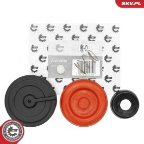 Reparatursatz, Kurbelgehäuseentlüftung 31SKV242 von ESEN SKV günstig für 15,39 € online kaufen