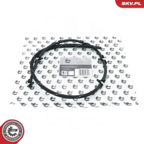 Achetez des Tuyau, carburant de fuite ESEN SKV 54SKV324 à prix pour 45,33 €