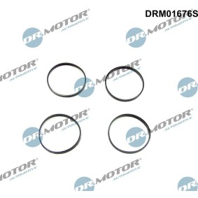 Dichtungssatz, Ansaugkrümmer DRM01676S von DR.MOTOR AUTOMOTIVE günstig für 17,08 € online kaufen