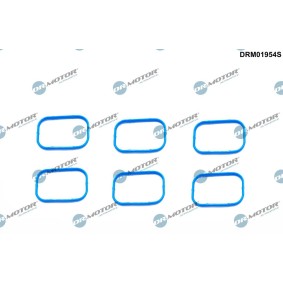Acquista Kit guarnizioni, Collettore aspirazione da DR.MOTOR AUTOMOTIVE DRM01954S a buon mercato per soli 22,83 €