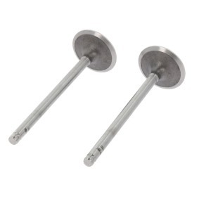 Comprar Válvula de admisión de CORTECO 551147B a bajo precio de 10,65 €