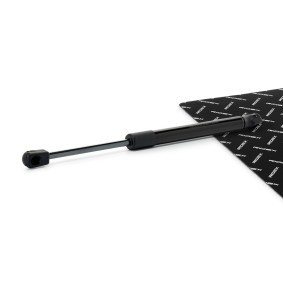 Köp Gasfjäder till baklucka av RIDEX 219G1495 till det låga priset 314,55 kr