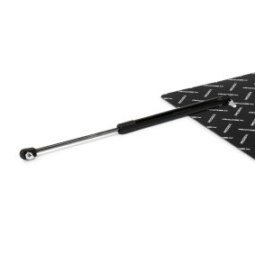 Compre Amortecedor da mala da RIDEX 219G1520 a um preço baixo por 24,16 €