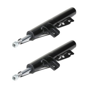 Osta Iskunvaimennin RIDEX:llä 854S19310 edullisesti hintaan 51,50 €
