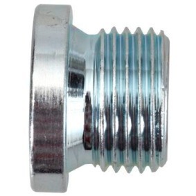 Verschlußschraube, Ölwanne 24200100416 von SWGAutomotive günstig für 6,21 € online kaufen
