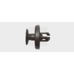 Clip, Zier- / Schutzleiste 50090616 von SWGAutomotive günstig für 21,11 € online kaufen