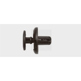 Clip, Zier- / Schutzleiste 50090916 von SWGAutomotive günstig für 18,31 € online kaufen