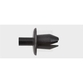 Clip, Zier- / Schutzleiste 50091516 von SWGAutomotive günstig für 11,70 € online kaufen