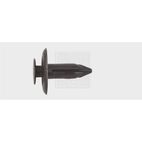 Clip, Zier- / Schutzleiste 50092016 von SWGAutomotive günstig für 19,97 € online kaufen