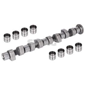 Nockenwellensatz 10 32 0008 von SWAG günstig für 197,02 € online kaufen