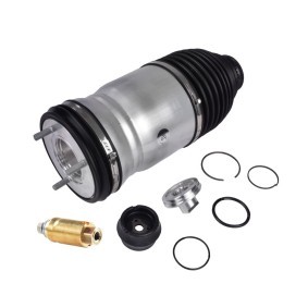 Luftfeder, Fahrwerk für RAM von MiesslerAutomotive
