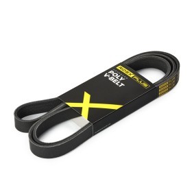 Keilrippenriemen 305P0106P von RIDEX PLUS günstig für 21,30 € online kaufen