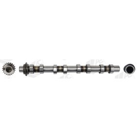 Nockenwelle CAM1051 von AE günstig für 195,57 € online kaufen