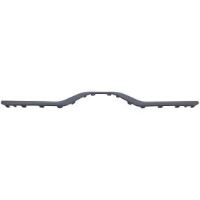 Achetez des Bandeau pare-choc DIEDERICHS 1208367 à prix pour 50,89 €