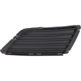 Lüftungsgitter, Stoßfänger 1813349 von DIEDERICHS günstig für 6,19 € online kaufen