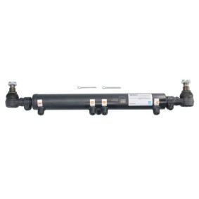 Comprar Cilindro de trabajo, dirección asistida de REINHOCH RH59-2004 a bajo precio de 390,68 €