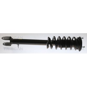 Compre Amortecedor da TRISCAN 8705 81106 a um preço baixo por 177,27 €