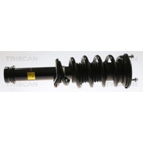 Compre Amortecedor da TRISCAN 8705 81107 a um preço baixo por 177,27 €