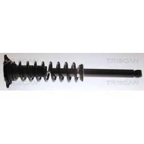 Compre Amortecedor da TRISCAN 8705 81202 a um preço baixo por 235,44 €