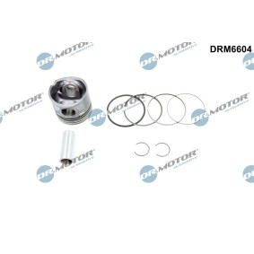 Comprar Pistón de DR.MOTOR AUTOMOTIVE DRM6604 a bajo precio de 249,89 €