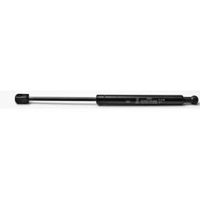 Gasfeder, Heckscheibe 31001 von FA KROSNO günstig für 19,15 € online kaufen