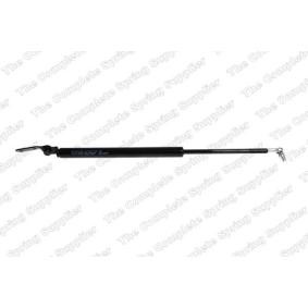 Compre Maletero de LESJÖFORS online para 100 NX (B13) a precios moderados