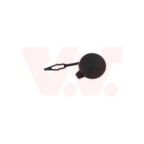 Klappe, Abschlepphaken 3805558 von VAN WEZEL günstig für 16,53 € online kaufen