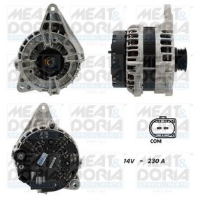 Lichtmaschine von MEAT & DORIA