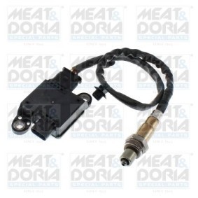 NOx-Sensor, NOx-Katalysator von MEAT & DORIA