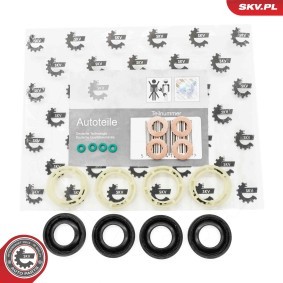 Compre Jogo de juntas, injectores da ESEN SKV 53SKV189 a um preço baixo por 14,83 €