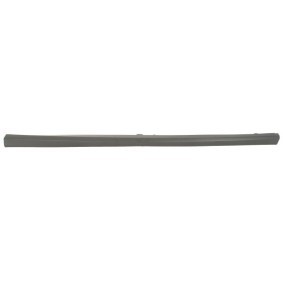 Einstiegsleiste 5703-06-0027573P von BLIC günstig für 40,52 € online kaufen