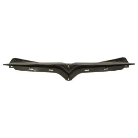 Compre Friso de para-choques da BLIC 6502-07-7704920P a um preço baixo por 223,23 €